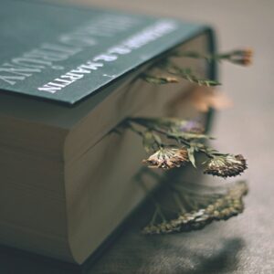 book, game of thrones, imagination, literature, reading, beautiful flowers, light, dried flowers, flower, pressed flowers, nature, flower background, flower wallpaper, emotion, dark, atmosphere, book, book, book, book, book, imagination, imagination, imagination, dried flowers, pressed flowers, emotion